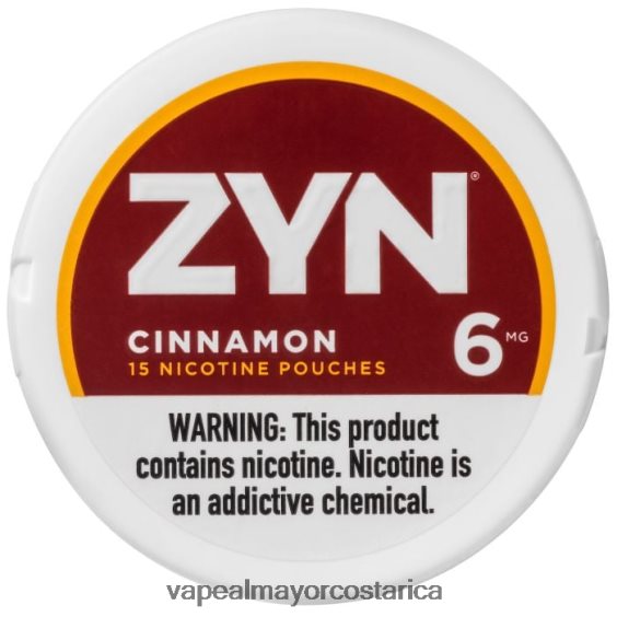 BF04J019 Venta Al Por Mayor De Cigarrillo Electronico - canela ZYN bolsa de nicotina 6 mg