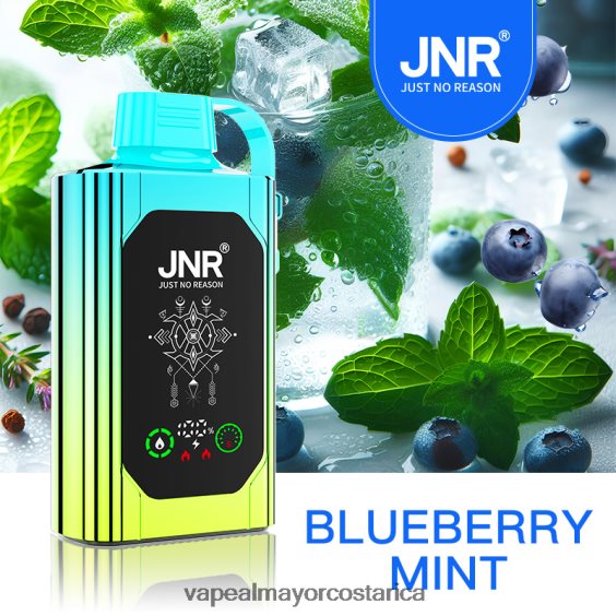 BF04J0618 Cigarrillo Electronico Comprar Por Mayor - menta de arándanos JNR SHISHA BOX