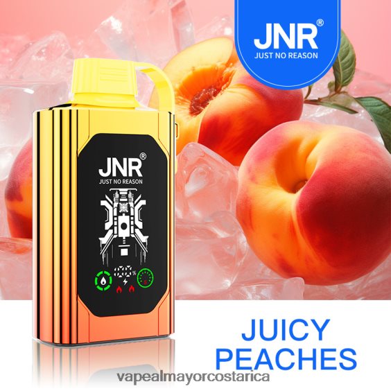 BF04J0622 Vaporizador Costa Rica - melocotones jugosos JNR SHISHA BOX