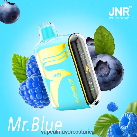 BF04J0606 Cigarrillo Electronico En Costa Rica - señor azul JNR CAPSULE