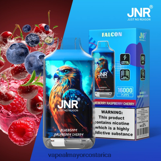 BF04J0699 Venta Al Por Mayor De Cigarrillo Electronico - arándano frambuesa cereza JNR FALCON