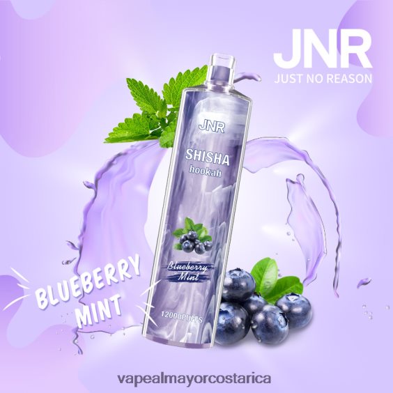 BF04J0672 Vaporizador Costa Rica - menta de arándanos JNR SHISHA