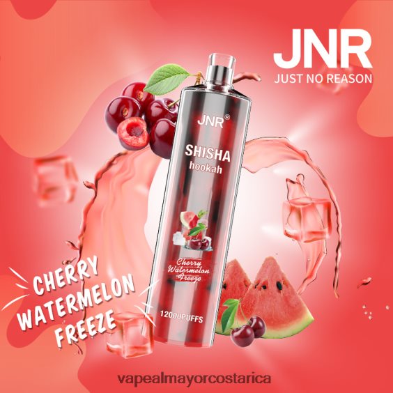 BF04J0674 Vaporizador Desechable Al Por Mayor - congelación de sandía cereza JNR SHISHA