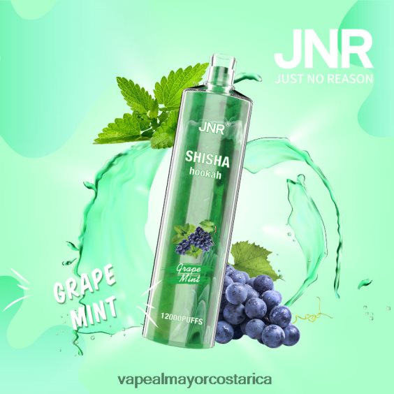 BF04J0678 Cigarrillo Electronico Comprar Por Mayor - menta de uva JNR SHISHA