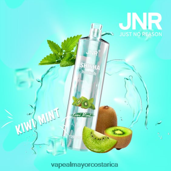 BF04J0681 Vape Al Mayor Costa Rica - menta kiwi JNR SHISHA