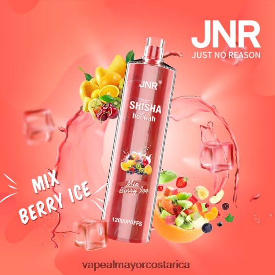 BF04J0685 Venta De Vaporizadores Al Por Mayor - mezclar hielo de bayas JNR SHISHA