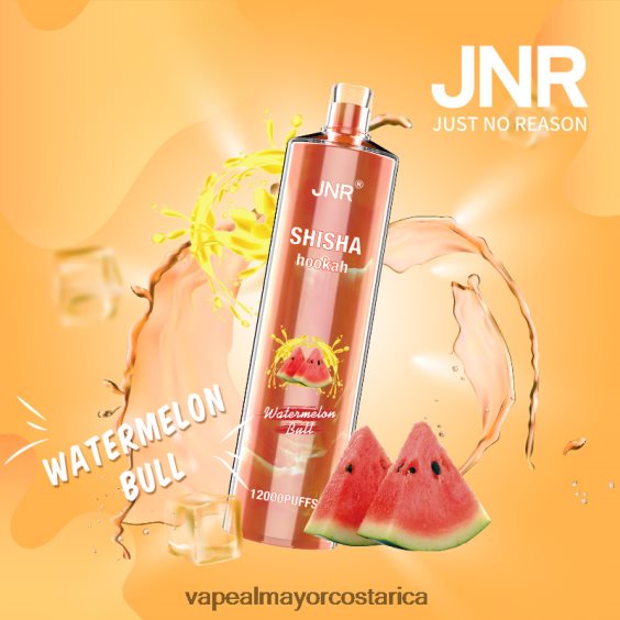 BF04J0692 Vaporizador Costa Rica - toro de sandia JNR SHISHA