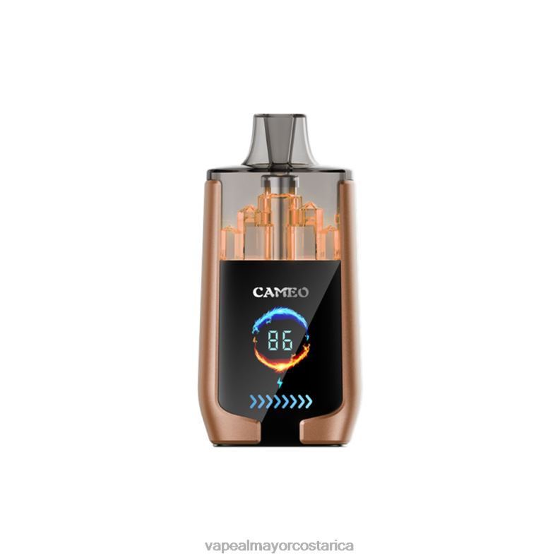 Cigarrillo Electronico Comprar Por Mayor 6PZH018 LAVIE CAMEO 30000 bocanadas hielo de cafe