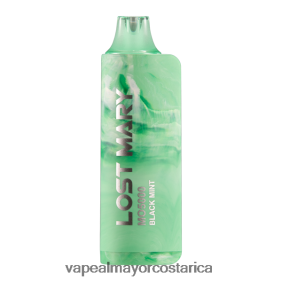 BF04J0514 Vaporizador Desechable Al Por Mayor - menta negra LOST MARY MO5000