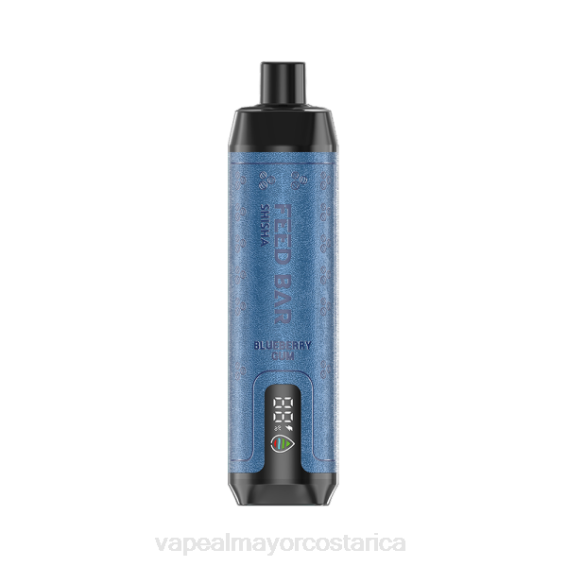 Cigarrillo Electronico Comprar Por Mayor 2TXT98 Vapsolo SHISHA vaporizador desechable chicle de arándanos
