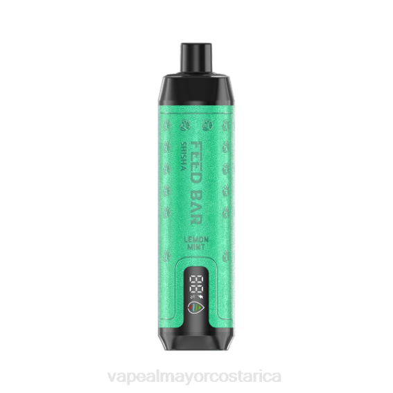 Vape Al Mayor Costa Rica 2TXT101 Vapsolo SHISHA vaporizador desechable menta limon