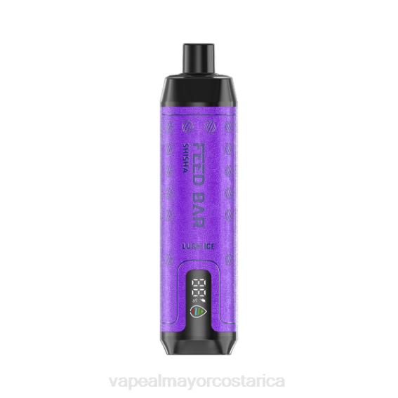 Vaporizador Costa Rica 2TXT102 Vapsolo SHISHA vaporizador desechable hielo exuberante